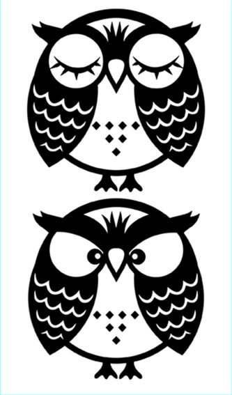 Crearreda Samolepicí dekorace WA XS Owls 59010 Dvě sovičky