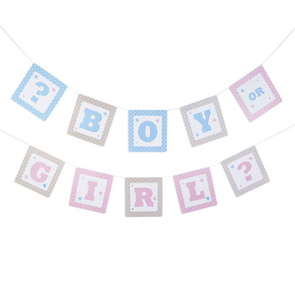 Girlanda Boy or Girl - 3,5m