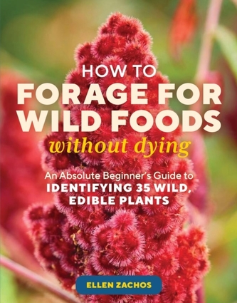 How to Forage for Wild Foods without Dying