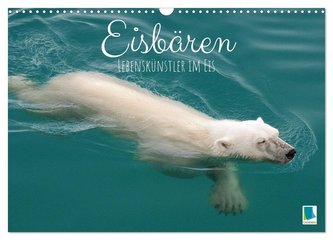 Eisbären: Lebenskünstler im Eis (Wandkalender 2024 DIN A3 quer), CALVENDO Monatskalender