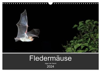 Fledermäuse - Jäger der Nacht (Wandkalender 2024 DIN A3 quer), CALVENDO Monatskalender