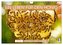 Ein Leben für den Honig - Bienen und Imker (Wandkalender 2024 DIN A4 quer), CALVENDO Monatskalender