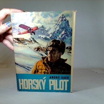 Horský pilot