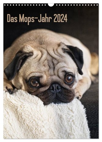 Das Mops-Jahr 2024 (Wandkalender 2024 DIN A3 hoch), CALVENDO Monatskalender