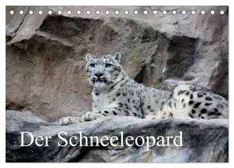 Der Schneeleopard (Tischkalender 2024 DIN A5 quer), CALVENDO Monatskalender