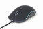 GEMBIRD myš MUS-UL-02, podsvícená, černá, 2400DPI, USB