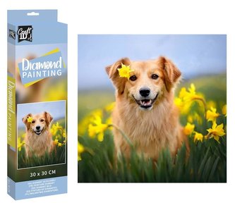 Diametowy obraz - Piesek 30x30cm Diametowy obraz - Piesek 30x30cm