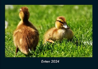Enten 2024 Fotokalender DIN A4