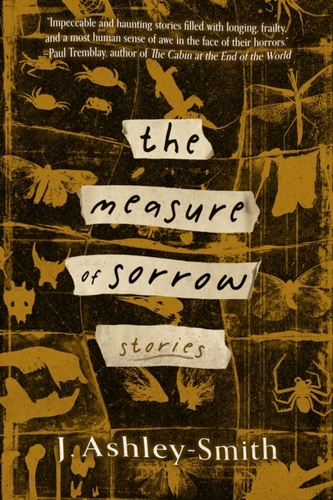 The Measure of Sorrow