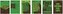 Zeszyt A4/60K linia Green Code Green (5szt)