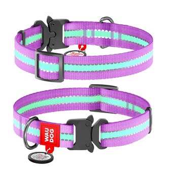 WAUDOG obojek nylonový Glow fialový Fastex QR (37-58cm/2,5cm)