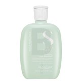 Alfaparf Milano Semi Di Lino Scalp Rebalance Purifying Shampoo čisticí šampon proti lupům 250 ml