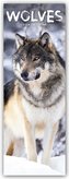 Wolves - Wölfe 2024