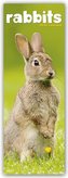 Rabbits - Kaninchen 2024
