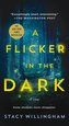 A Flicker in the Dark