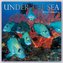Unter the Sea - Tropische Fische 2024 - 16-Monatskalender