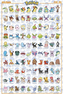 Plakát Pokémon: Johto (61 x 91,5 cm)