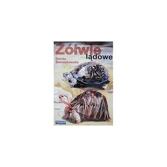 Żółwie lądowe Żółwie lądowe
