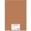 Barevný karton EXTRA 300g  50x70cm - světle hnědý  10listů