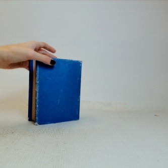 Německo-český, česko-německý slovník (KOmplet 2 knih)