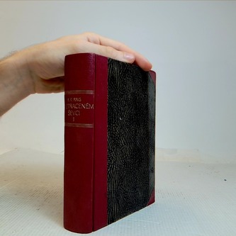 O ztraceném ševci - díl I.