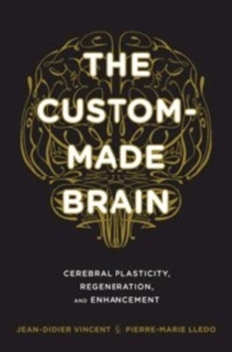 The Custom-Made Brain