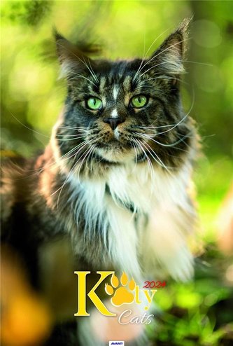 Kalendarz 2024 Ścieny Koty