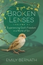 Broken Lenses, Volume 3