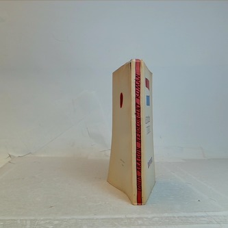 Nedokončený román