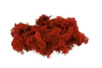 Severský mech 300g oranžový