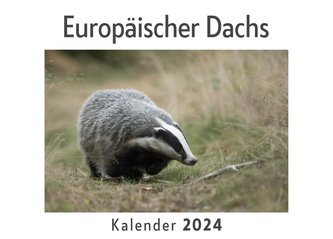 Europäischer Dachs (Wandkalender 2024, Kalender DIN A4 quer, Monatskalender im Querformat mit Kalendarium, Das perfekte Geschenk