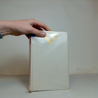 Má pouť životem a uměním