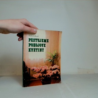 Pěstujeme pokojové květiny
