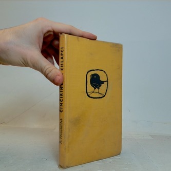 Čimčirínek a chlapci