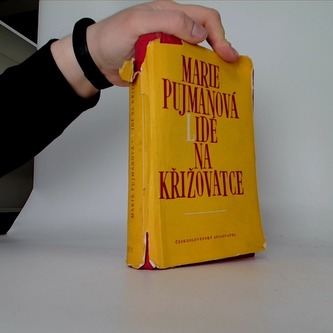 Lidé na křižovatce