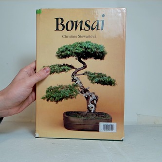 Bonsaj