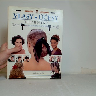 Vlasy, účesy a techniky