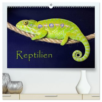 Reptilien (hochwertiger Premium Wandkalender 2024 DIN A2 quer), Kunstdruck in Hochglanz