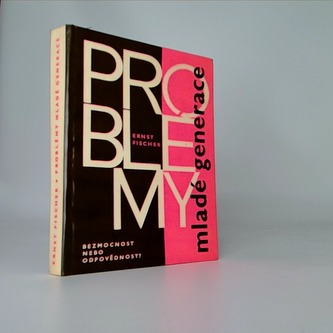 Problemy mládé generace