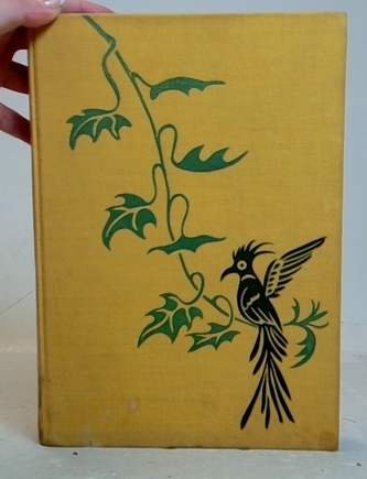 V šeru tropických pralesů