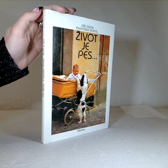 Život je pes...