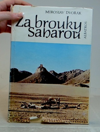 Za brouky Saharou