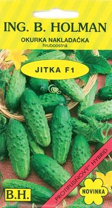 Okurka nakl. Holman - Jitka F1 hr 2 g