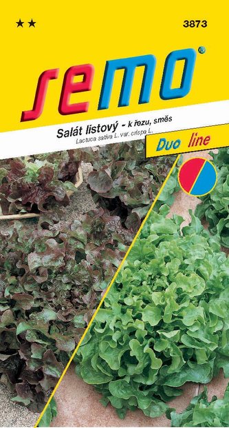 Salát kadeřavý k řezu - směs typu Bowl 0,6g - série DUO Salát kadeřavý k řezu - směs typu Bowl 0,6g - série DUO