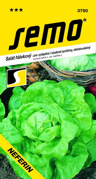 Salát k rychlení - Neferin stud. skleníky a fol. 0,6g Salát k rychlení - Neferin stud. skleníky a fol. 0,6g