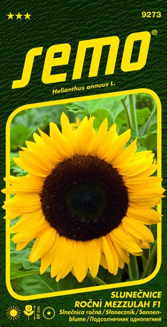 Slunečnice roční - Mezzulah F1 8s