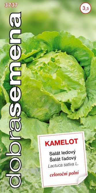 Dobrá semena Salát celoroční ledový - Kamelot 0,4g