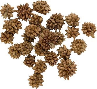 Dekorace - Star Flower - 12 g