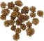 Dekorace - Star Flower - 12 g
