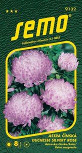 Astra čínská - Duchesse silvery rose 0,5g